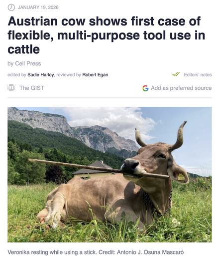 Posted media